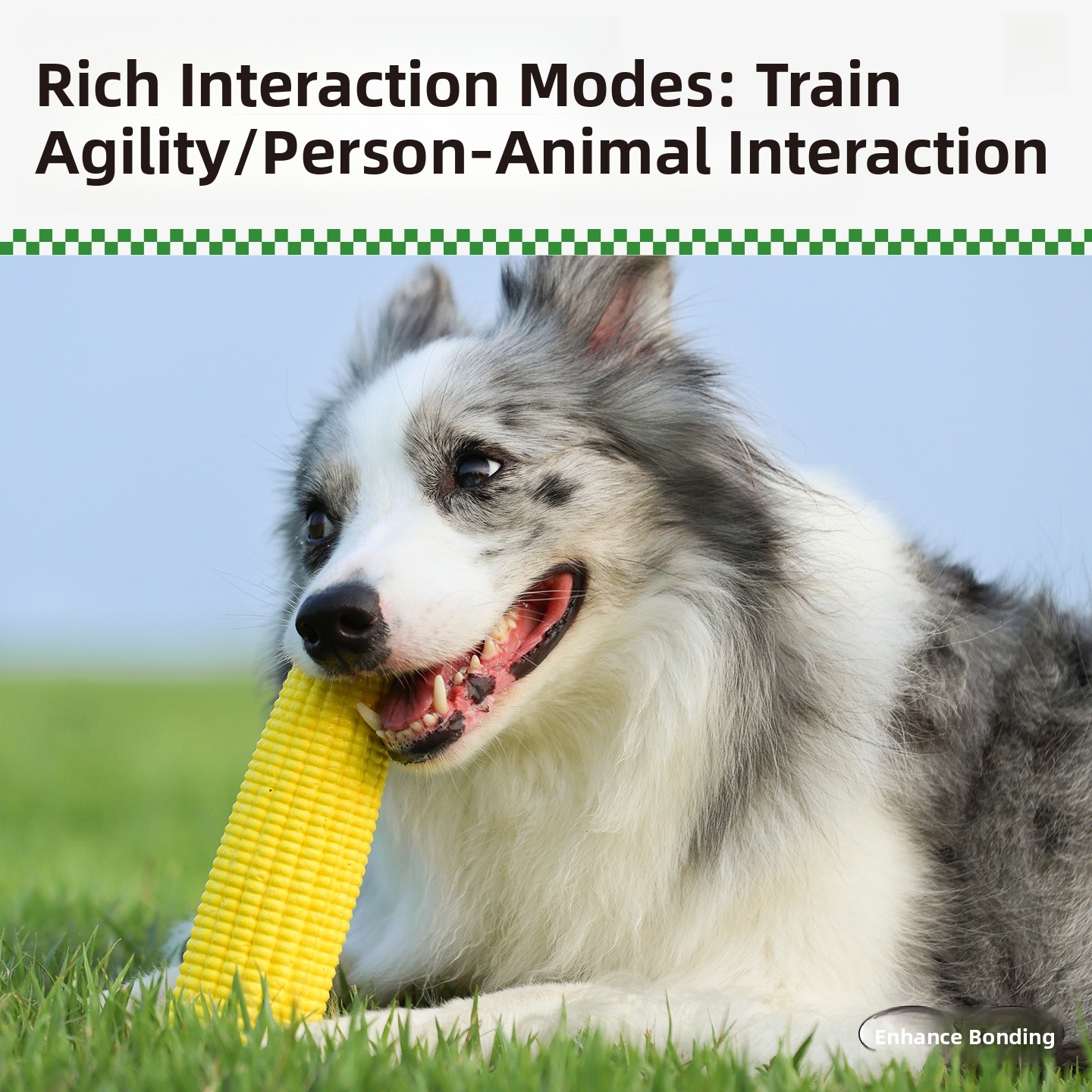 QZee Durable ETPU Corn Dog Toy – обзор и цена Corn Dog Stick