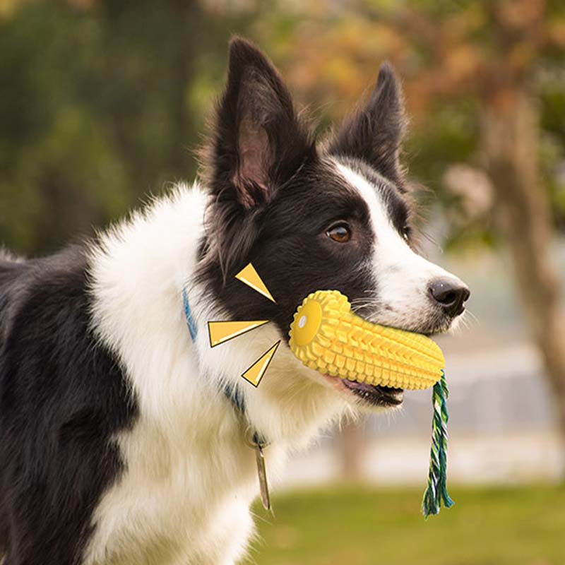 Hot Selling Large Size Corn Sh – обзор и цена Corn Dog Stick