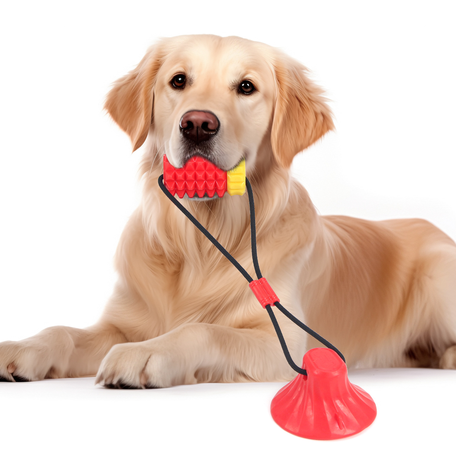 Simulated Corn Cob TPR Dog Toy – обзор и цена Corn Dog Stick